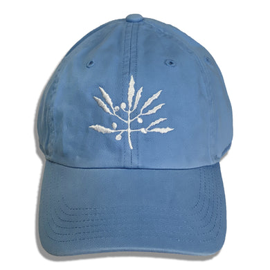Seagrass Clothing Co. Columbia Blue Chino Dad Hat with White Logo Front View