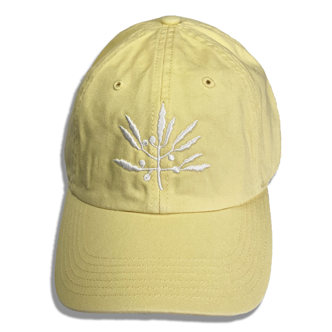 Seagrass Clothing Co. Mellow Yellow Chino Dad Hat with White Logo Front View